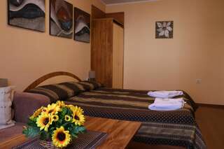 Гостевой дом Guest House Hayloft Банско Стандартный двухместный номер с 1 кроватью-3