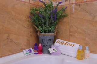 Гостевой дом Guest House Hayloft Банско Полулюкс-5
