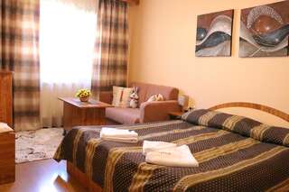 Гостевой дом Guest House Hayloft Банско Стандартный двухместный номер с 1 кроватью-5